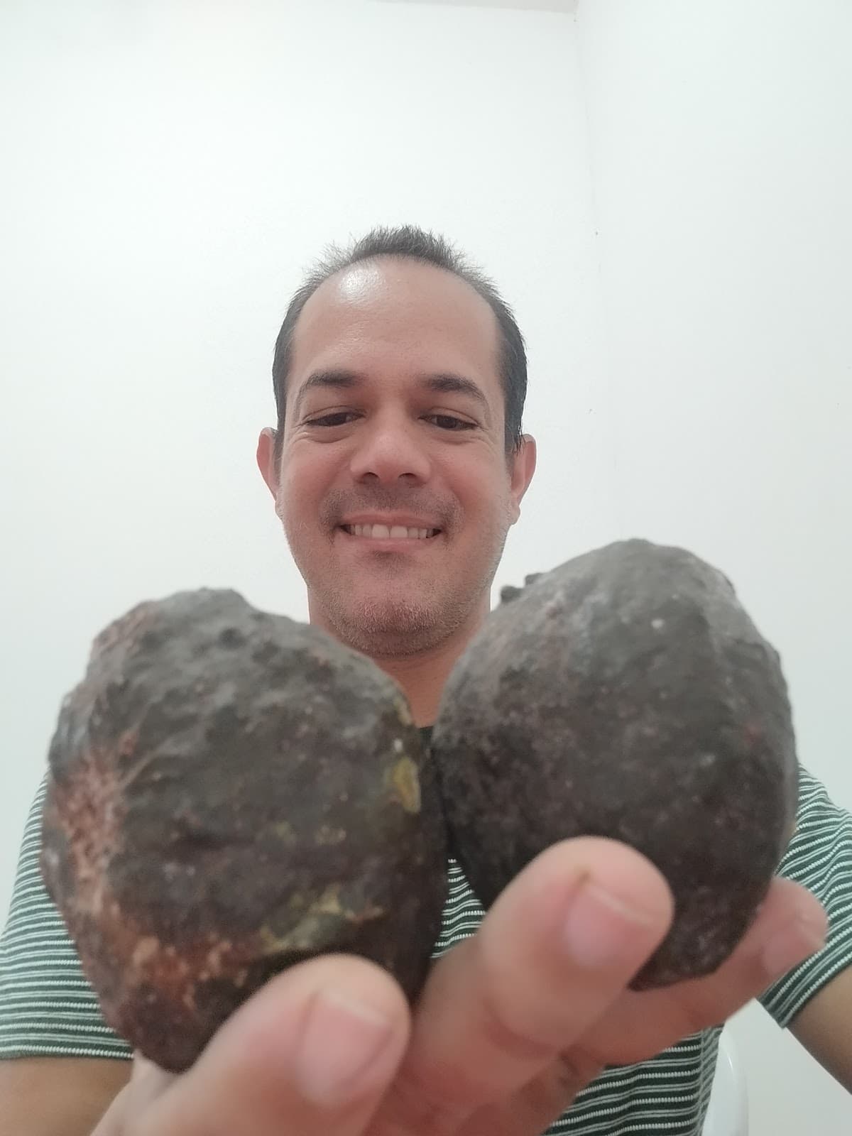 Oiti coró (Couepia rufa) - Miniatura 3
